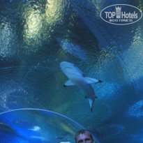 фото из отзыва ID 848589