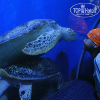 фото из отзыва ID 848589