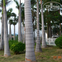 фото из отзыва ID 848694