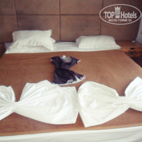 фото из отзыва ID 848745