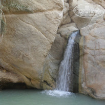 фото из отзыва ID 848745