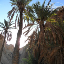 фото из отзыва ID 848745