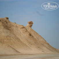 фото из отзыва ID 848745