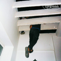 фото из отзыва ID 848745