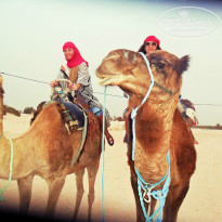 фото из отзыва ID 848745