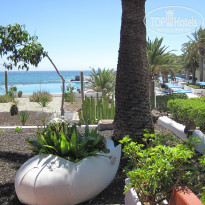 фото из отзыва ID 848943