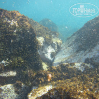 фото из отзыва ID 848943