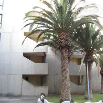 фото из отзыва ID 848943