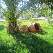 фото из отзыва ID 848464