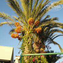 фото из отзыва ID 848980