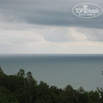 фото из отзыва ID 84883