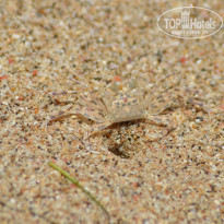 фото из отзыва ID 849261