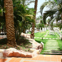 фото из отзыва ID 849265