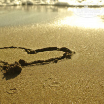 фото из отзыва ID 849415