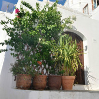 фото из отзыва ID 849771