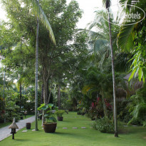 фото из отзыва ID 849894