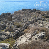 фото из отзыва ID 849854