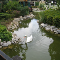 фото из отзыва ID 849991