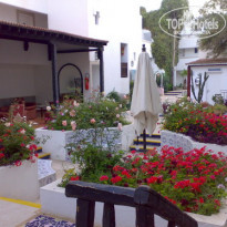 фото из отзыва ID 84980