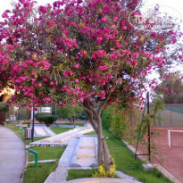 фото из отзыва ID 84980