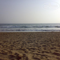 фото из отзыва ID 84980