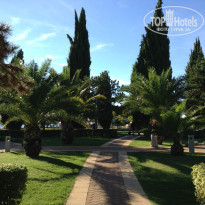 фото из отзыва ID 850146