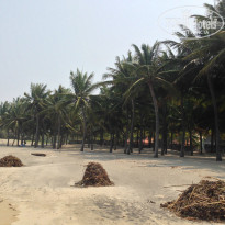 фото из отзыва ID 850181