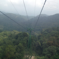 фото из отзыва ID 850181