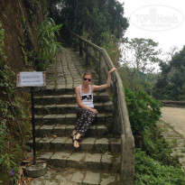 фото из отзыва ID 850181