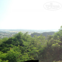 фото из отзыва ID 850181