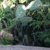 фото из отзыва ID 850181