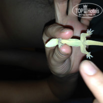 фото из отзыва ID 850181