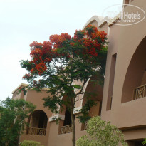 фото из отзыва ID 850278