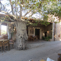 фото из отзыва ID 850304