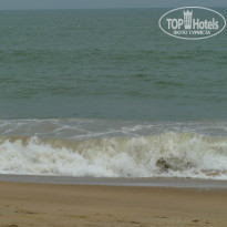 фото из отзыва ID 850313