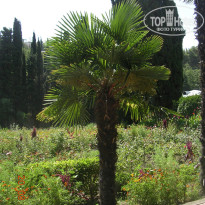 фото из отзыва ID 850351