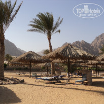 фото из отзыва ID 850550