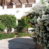 фото из отзыва ID 850550