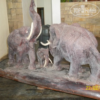 фото из отзыва ID 850805