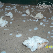 фото из отзыва ID 850805