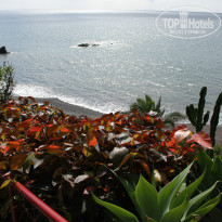 фото из отзыва ID 851058