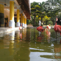 фото из отзыва ID 851072