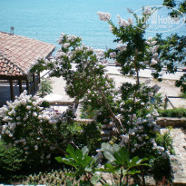 фото из отзыва ID 851426