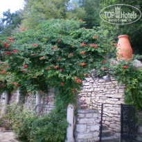 фото из отзыва ID 851426