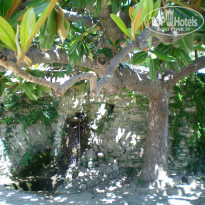 фото из отзыва ID 851426