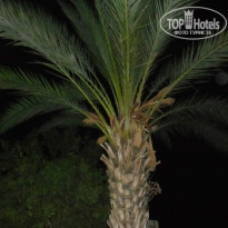 фото из отзыва ID 851534