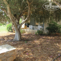 фото из отзыва ID 851625