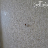 фото из отзыва ID 851625