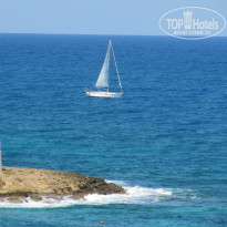 фото из отзыва ID 851625