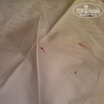 фото из отзыва ID 851645